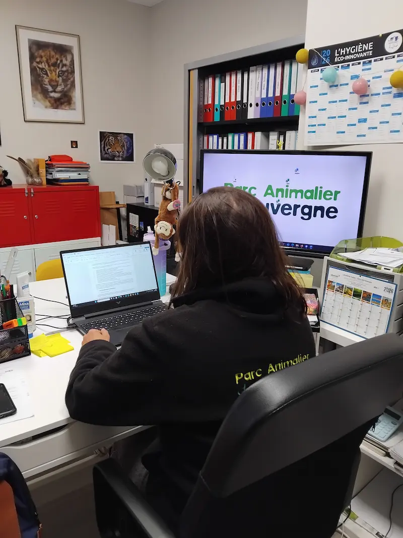 Administratif · RH · Comptabilité