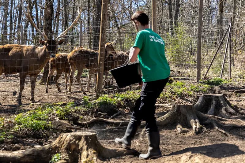 Équipe Animalière